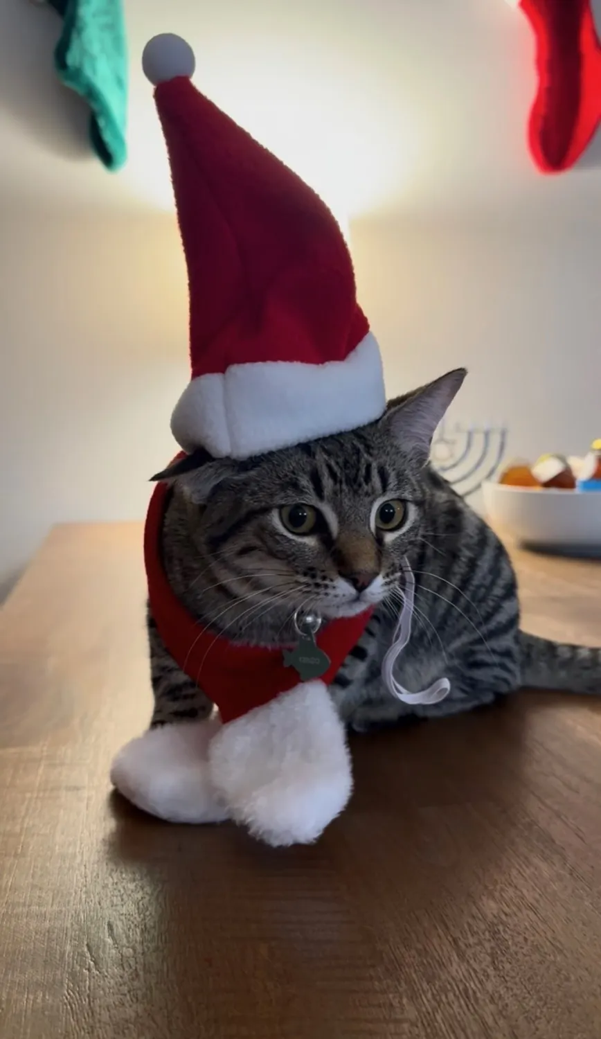 Santa Costume - reviewed by Kenzo